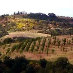 Hotel Armena Siena