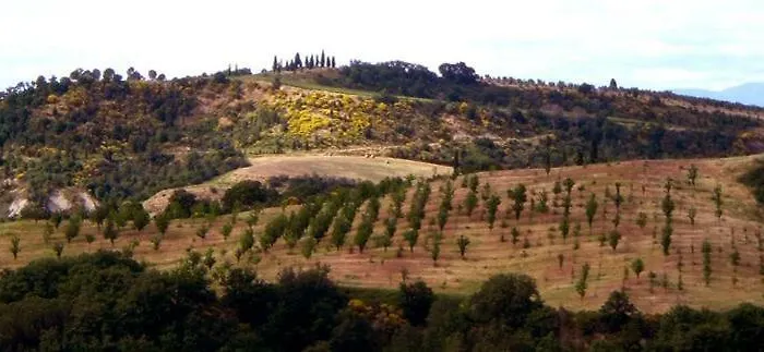 Szálloda Armena Siena